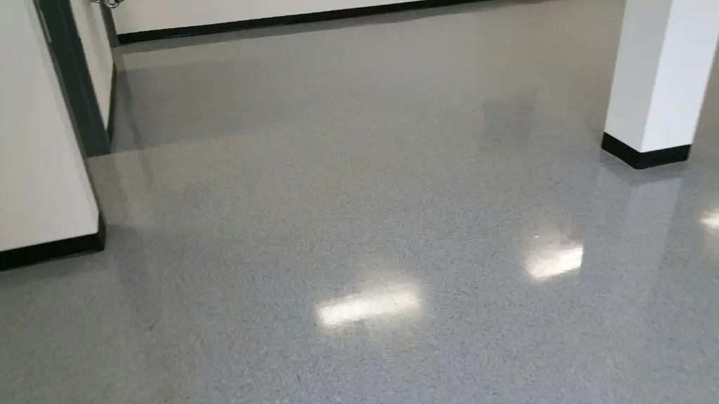 A polished corridor floor in a building maintained by Rainey's, overhead lights reflecting off the finish