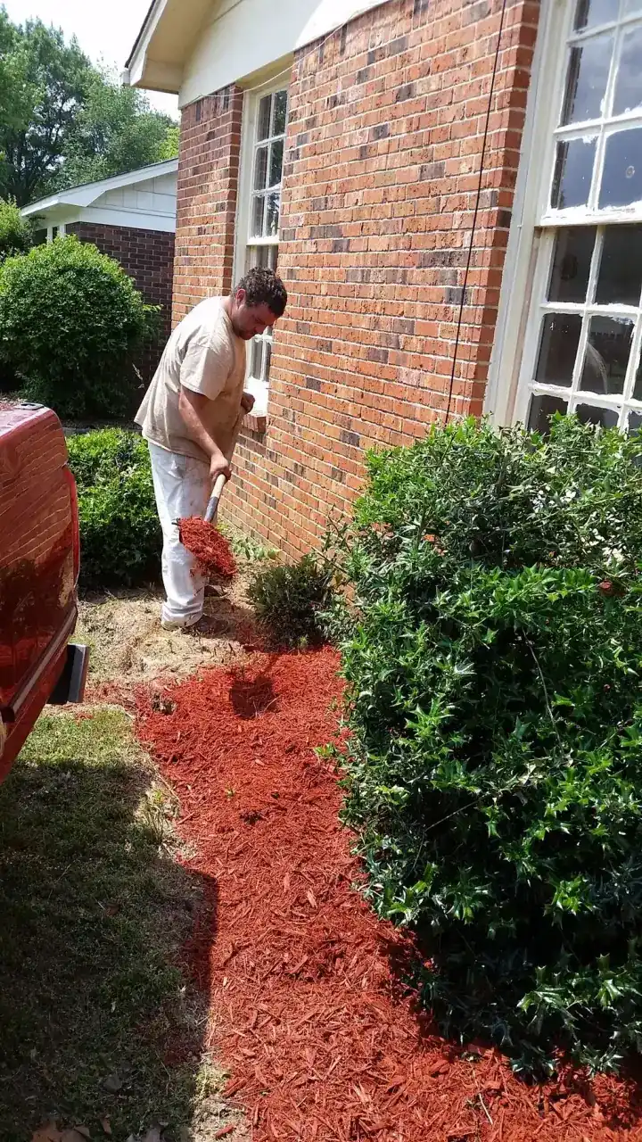 A Rainey's crew member spreading red mulch into a planting bed beside the company van