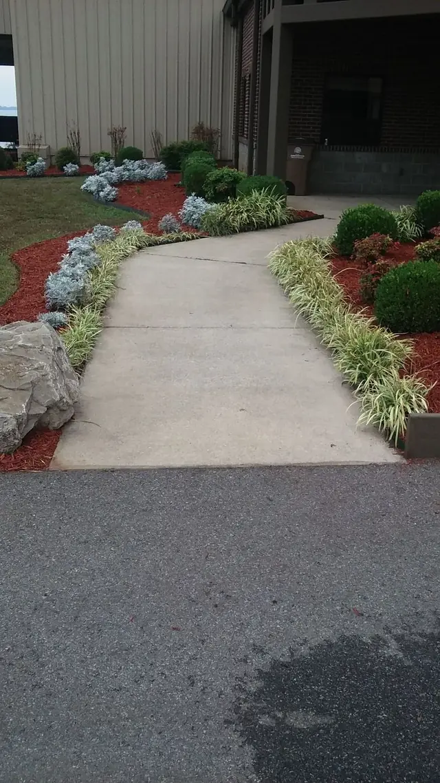 A concrete walkway edged against fresh mulch borders and low planting at a commercial property